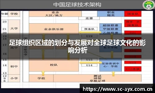 足球组织区域的划分与发展对全球足球文化的影响分析